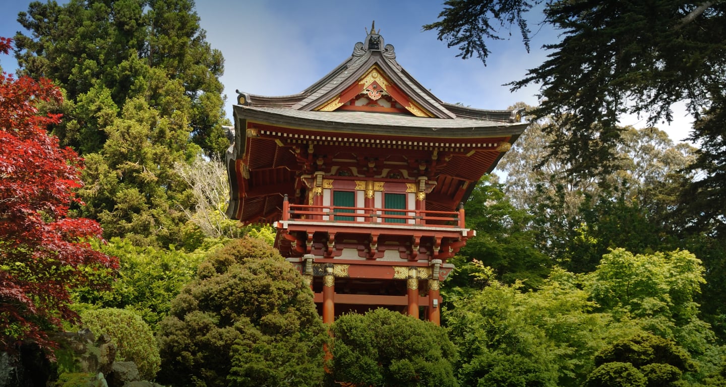 Tea Cabinet With Included Tea Set. Japanese Torii Gate Style 