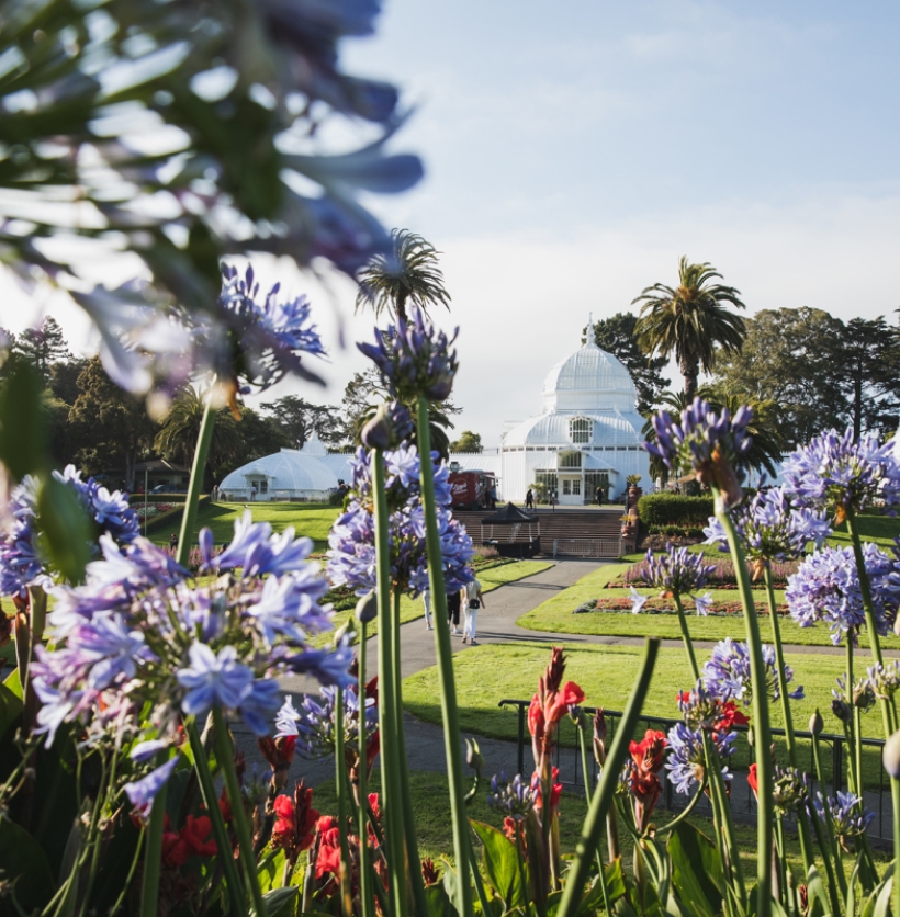 The Golden Gate Park Shuttle: Back and Better than Ever!