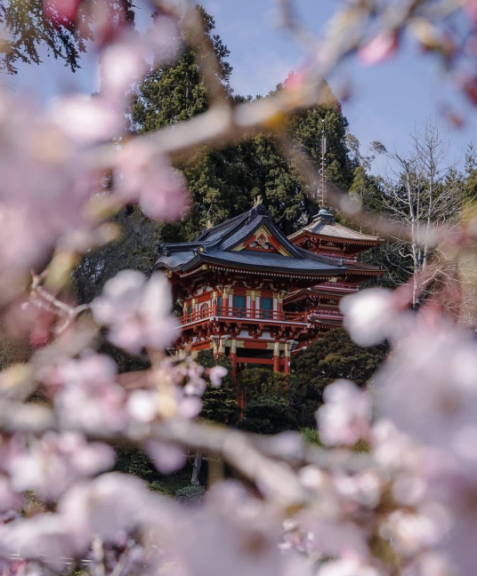 virtual tour japanese garden