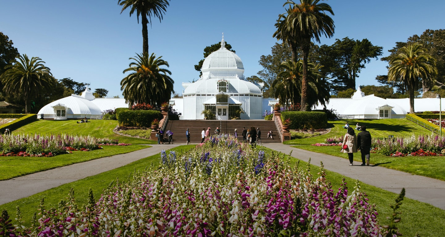 Collection of pressed flowers - Garden Museum