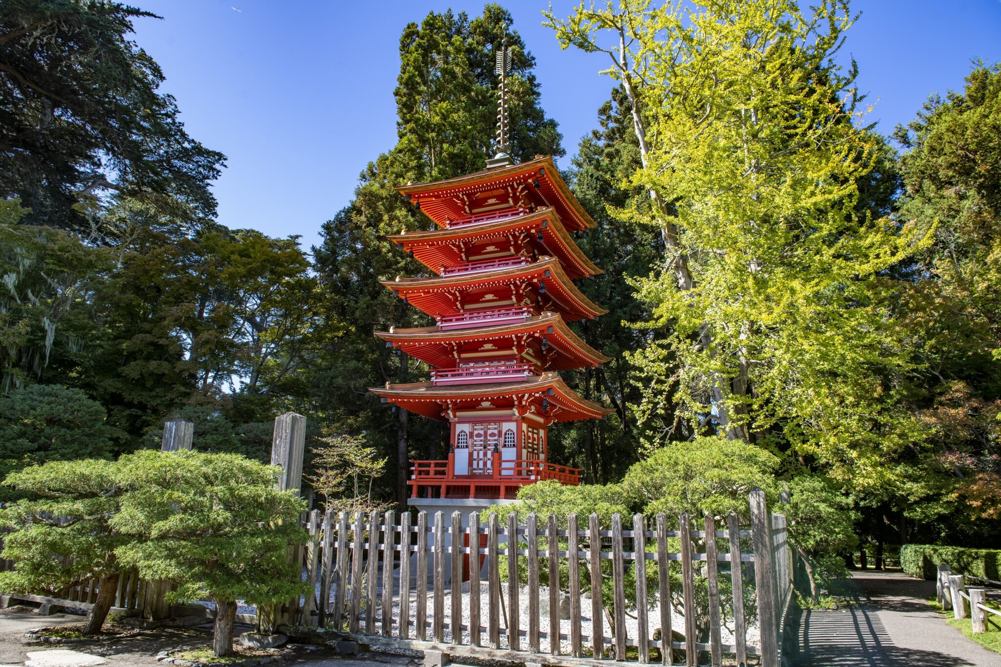 japanese tea garden tours