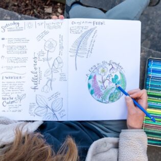 Create Your Own Botanical Garden Field Guide