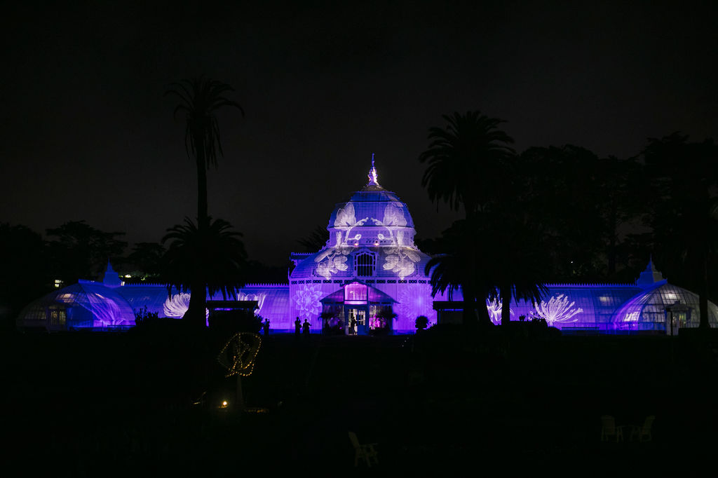 Image for: ‘Photosynthesis’ Light Show at the Conservatory Changes with the Seasons