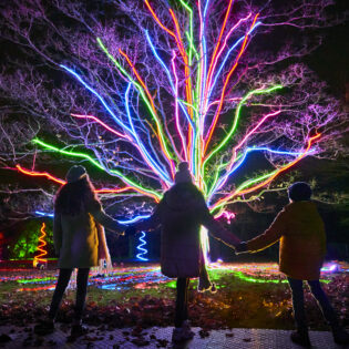Lightscape: Member Preview Party