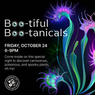 Boo-tiful Boo-tanicals