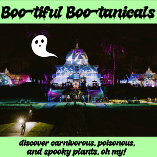 Boo-tiful Boo-tanicals