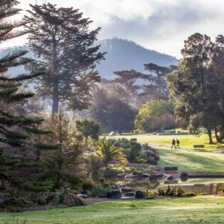 Free Day: San Francisco Botanical Garden