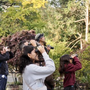 Birding at the Garden with Golden Gate Bird Alliance