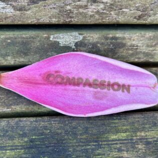 Magnificent Magnolias — Art & Found PoeTree