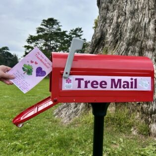 Magnificent Magnolias — TreeMail Valentines