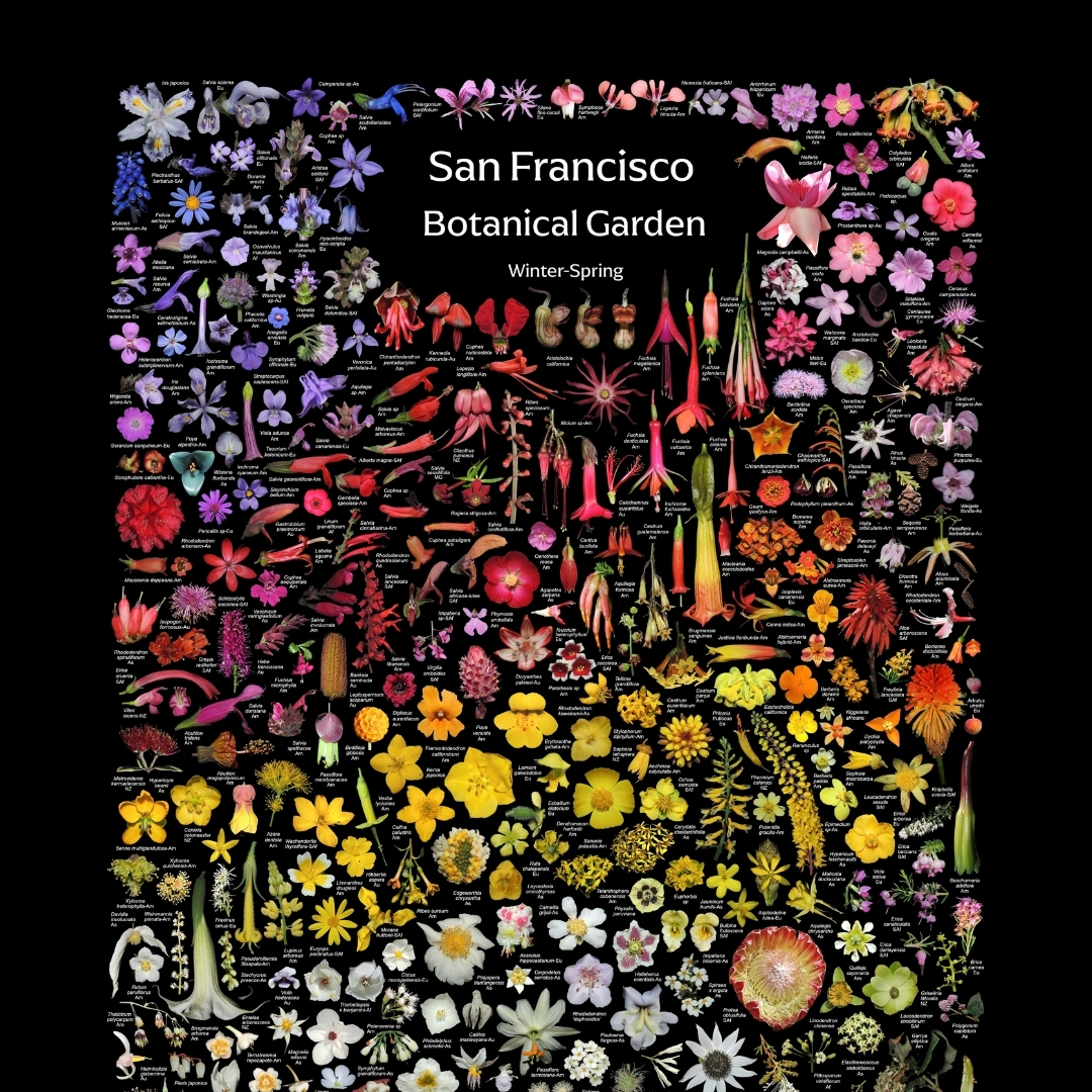 The Forest Floor: Paintings by Lucy Martin