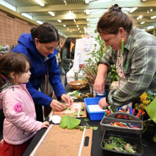 Spring Garden Market
