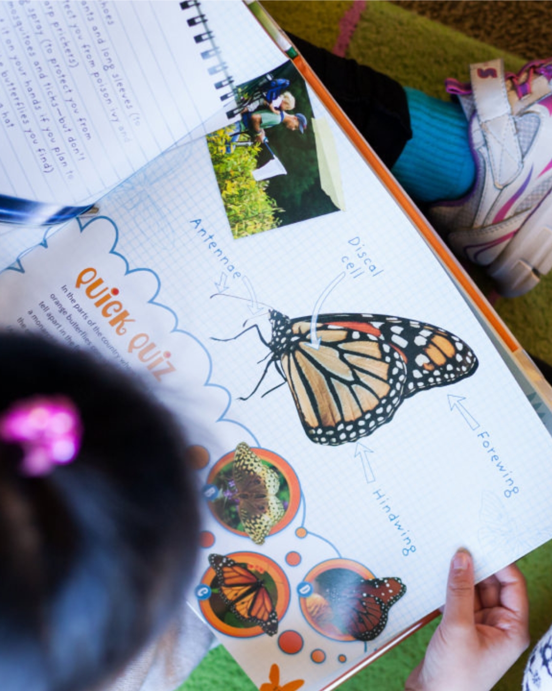 The Reading Grove Library Summer Reading Program